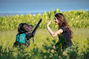 Woman with long brown hair in field with seated service dog, high fiving.