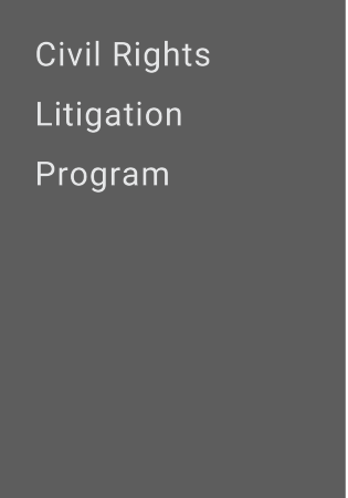 Civil Rights Litigation Program