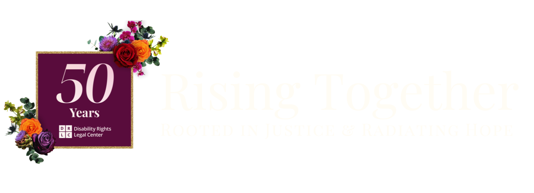 Rising together: Rooted in justice, radiating hope. 50 years - DRLC logo.