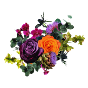 Bloom & Grow with DRLC